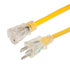 Marinco_Guest_AFI_Nicro_BEP 150025NL Ext Cord Lighted 14/3 15A 25' Image 1