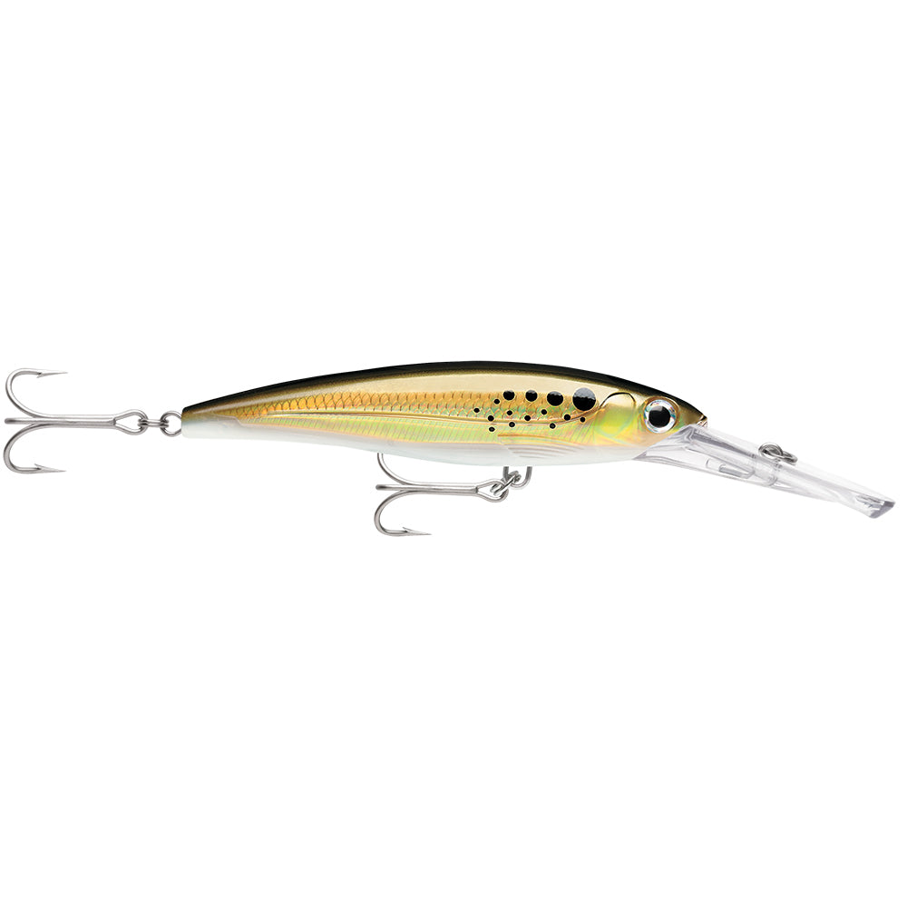 Rapala X-Rap Magnum 15 Bunker - XRMAG15BNK Fishing Lure Image 1