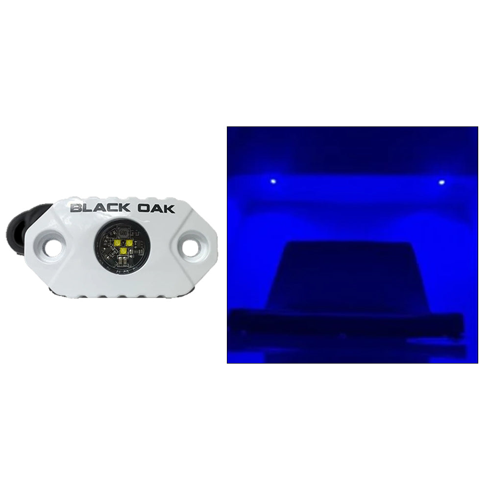 Black Oak LED Mal-B Rock Accent Light with Blue and White Housing Image 1