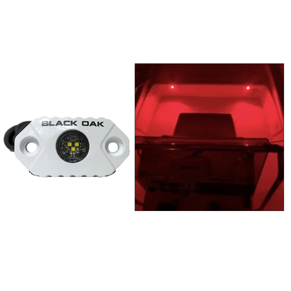 Black Oak LED Rock Accent Light Mal-R Red White Housing Image 1