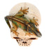 Treasure Cove P784112A Iguana Skull Figurine