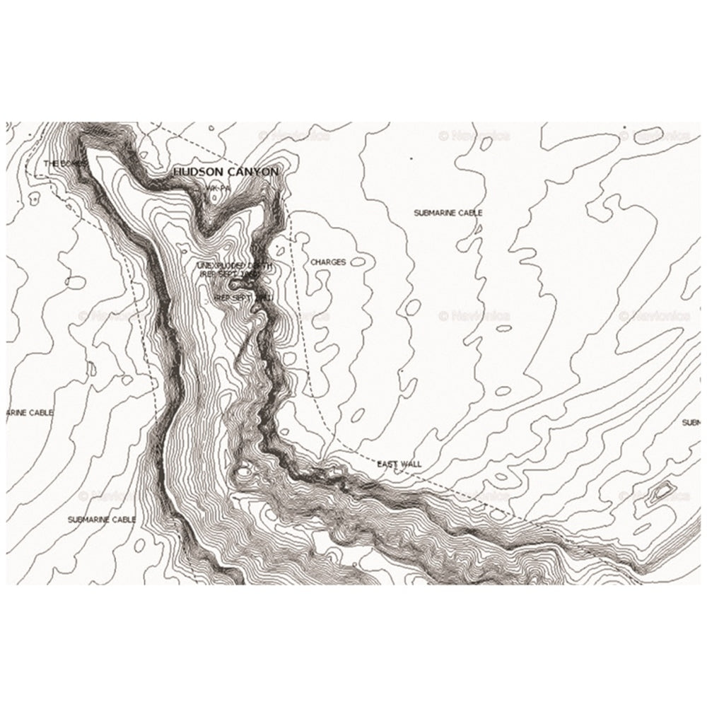 Navionics Msd/Nav+No Navionics+ Regions North Preloaded Msd Format