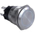 SierraMarine AV10030 Push Button Switch  Image 1